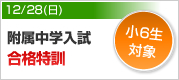 附属中学入試合格特訓