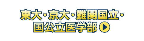 東大・京大・難関国立・国公立医学部